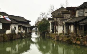 破碎的动物图形3